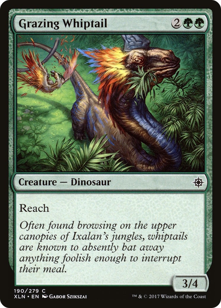 Grazing Whiptail - Image 1