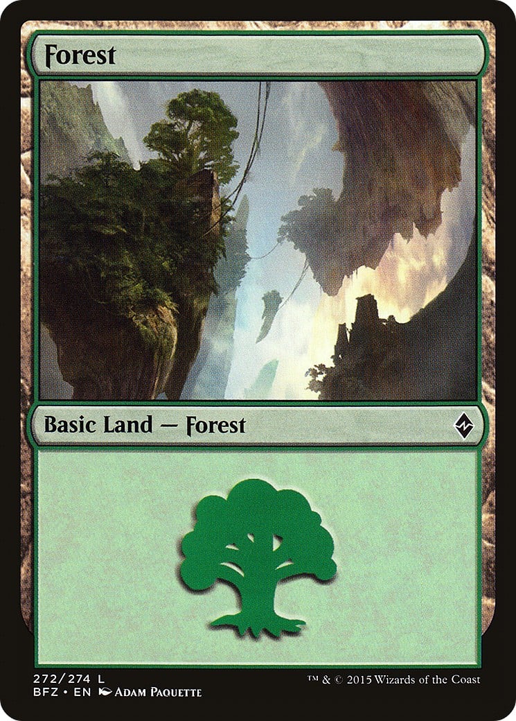 Forest - Image 1