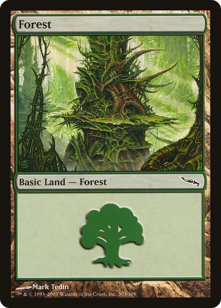 Forest - Image 1