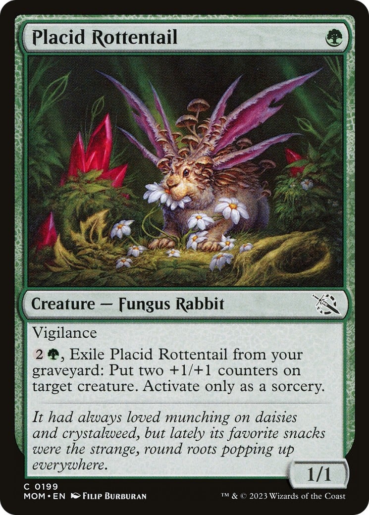 Placid Rottentail - Image 1