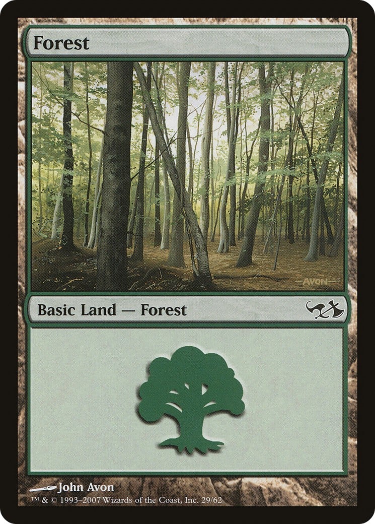 Forest - Image 1