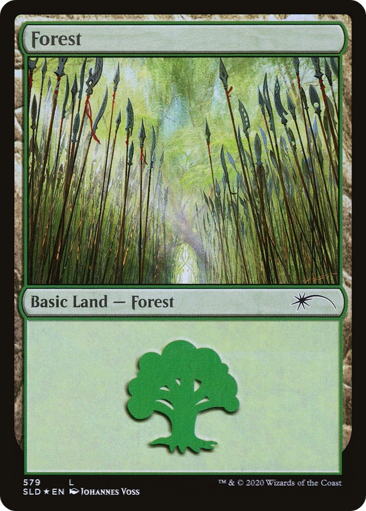 Forest - Image 1