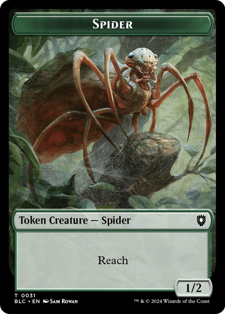 Spider - Image 1