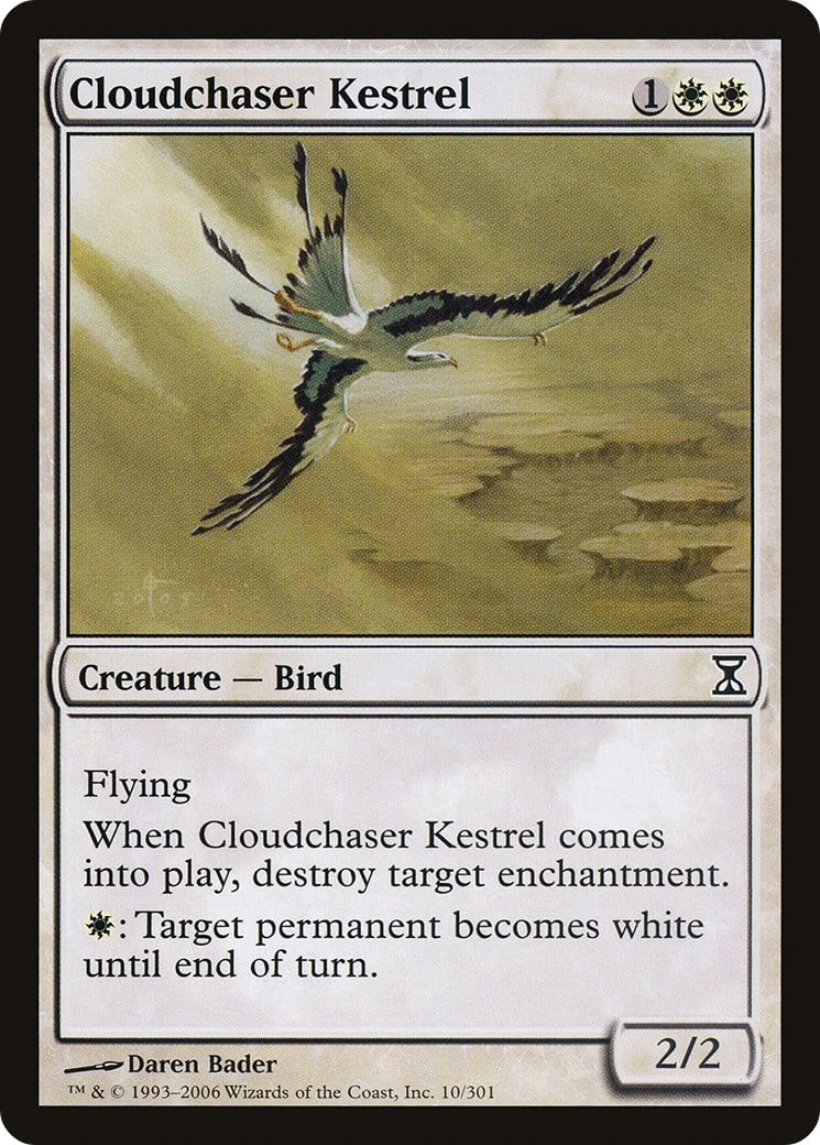 Cloudchaser Kestrel - Image 1