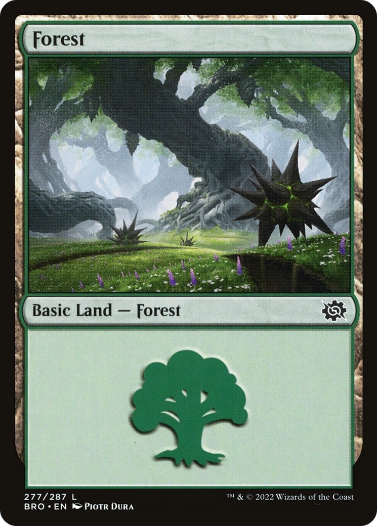 Forest - Image 1