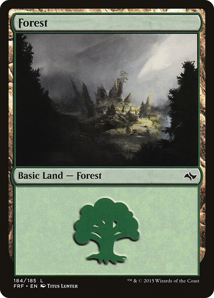 Forest - Image 1