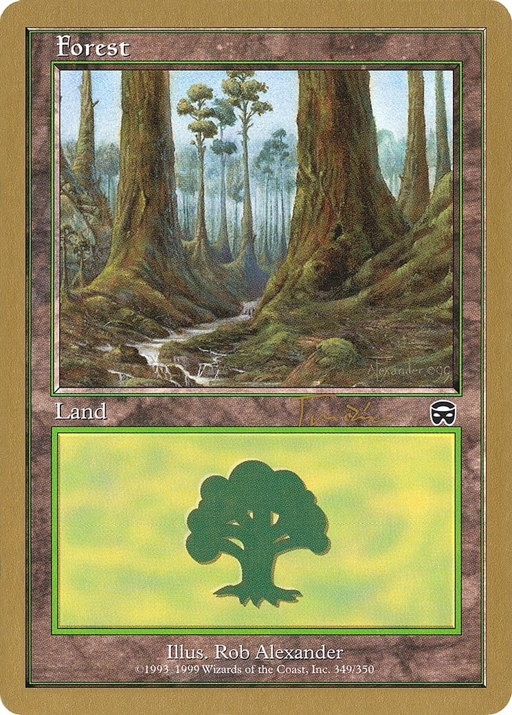 Forest - Image 1