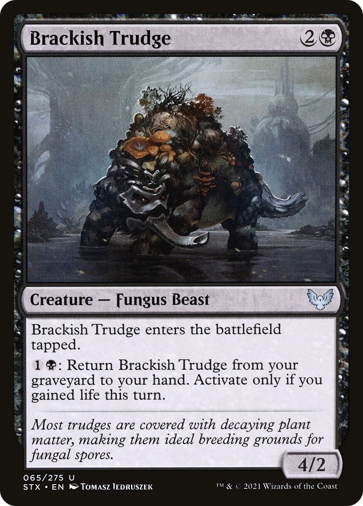 Brackish Trudge - Image 1