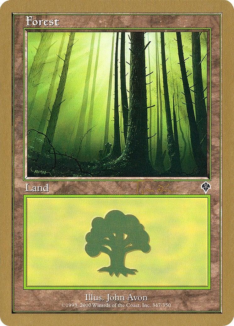 Forest - Image 1