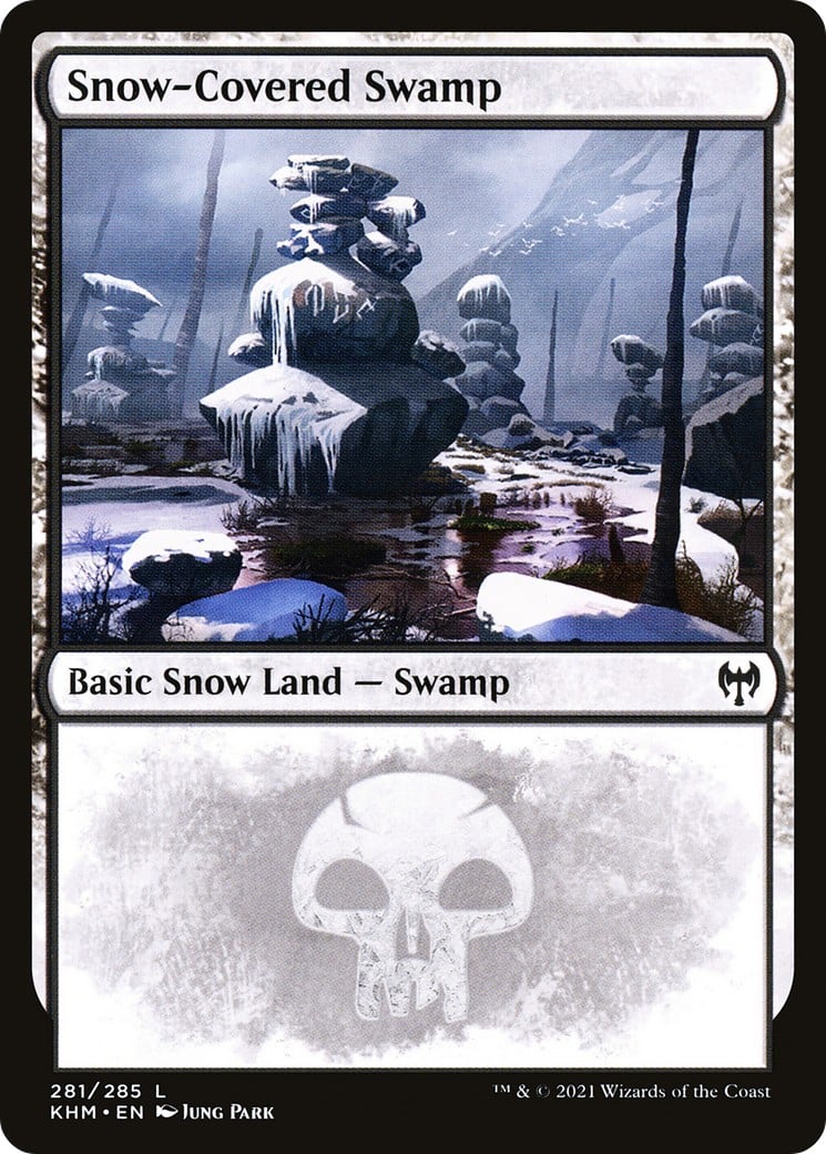 Snow-Covered Swamp - Image 1