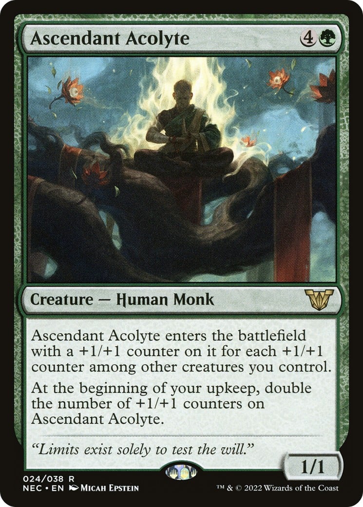 Ascendant Acolyte - Image 1