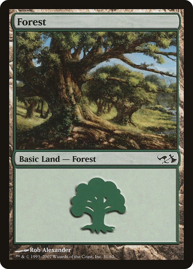 Forest - Image 1