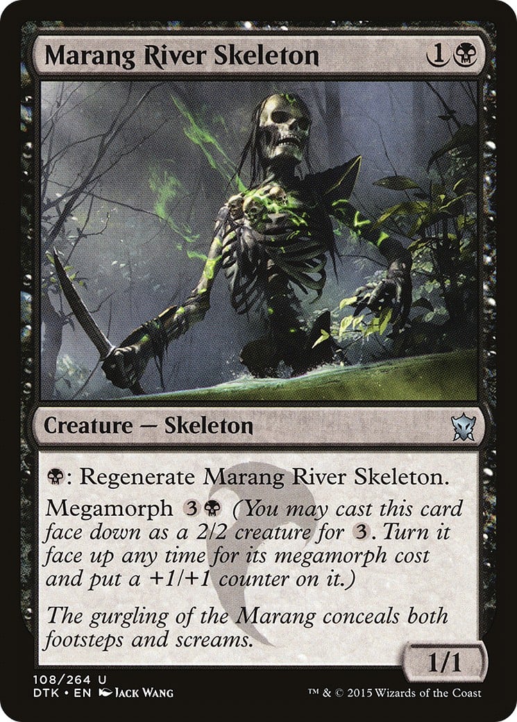 Marang River Skeleton - Image 1