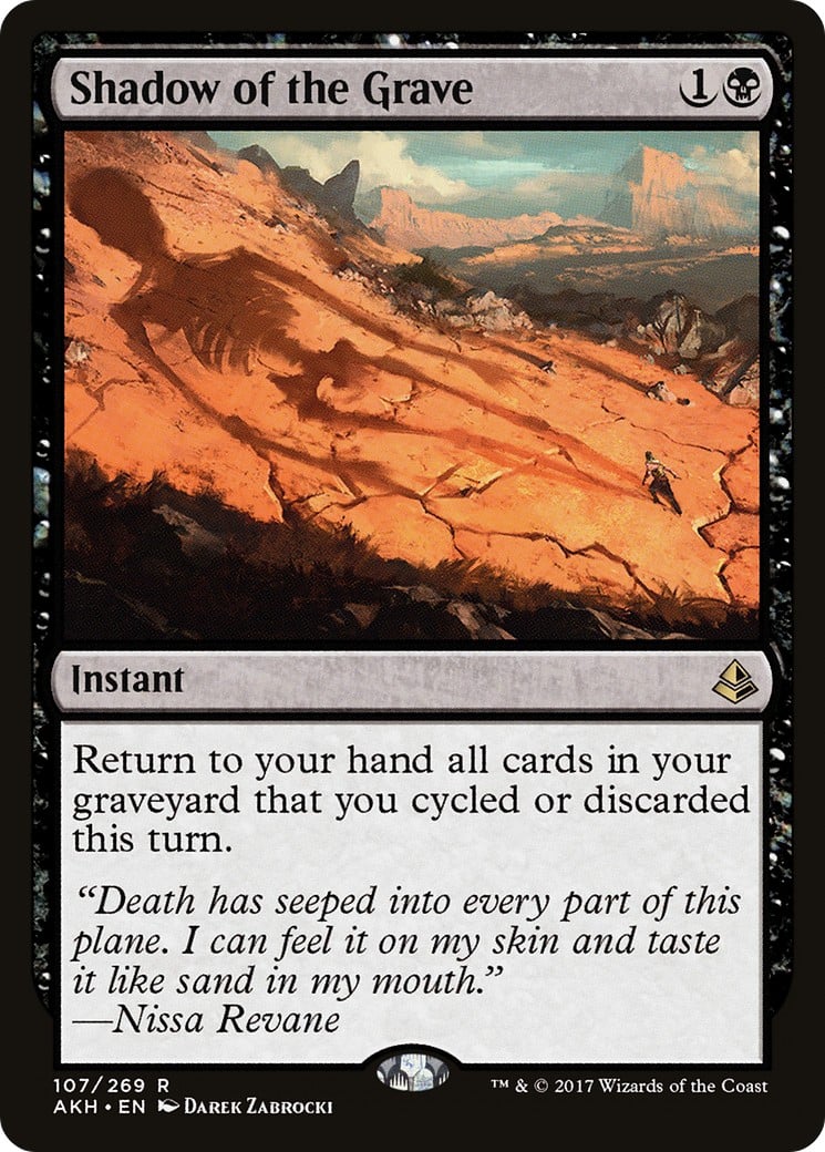 Shadow of the Grave - Image 1