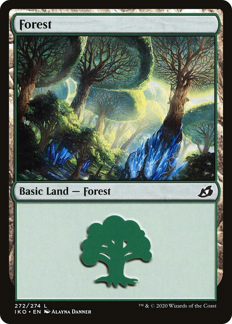Forest - Image 1
