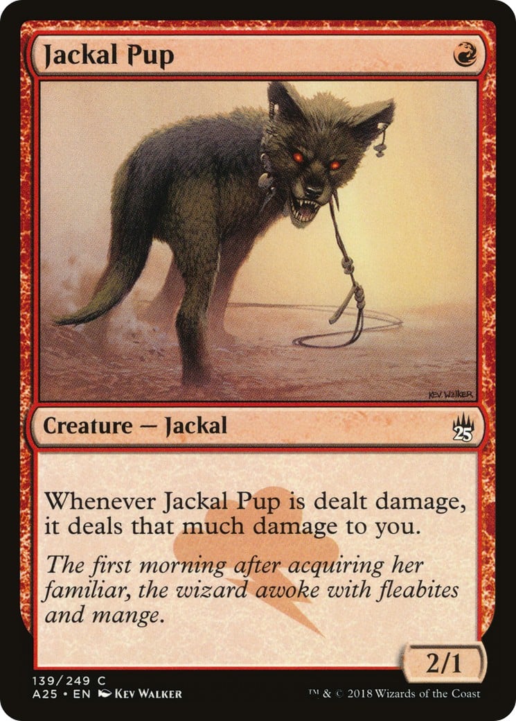 Jackal Pup - Image 1