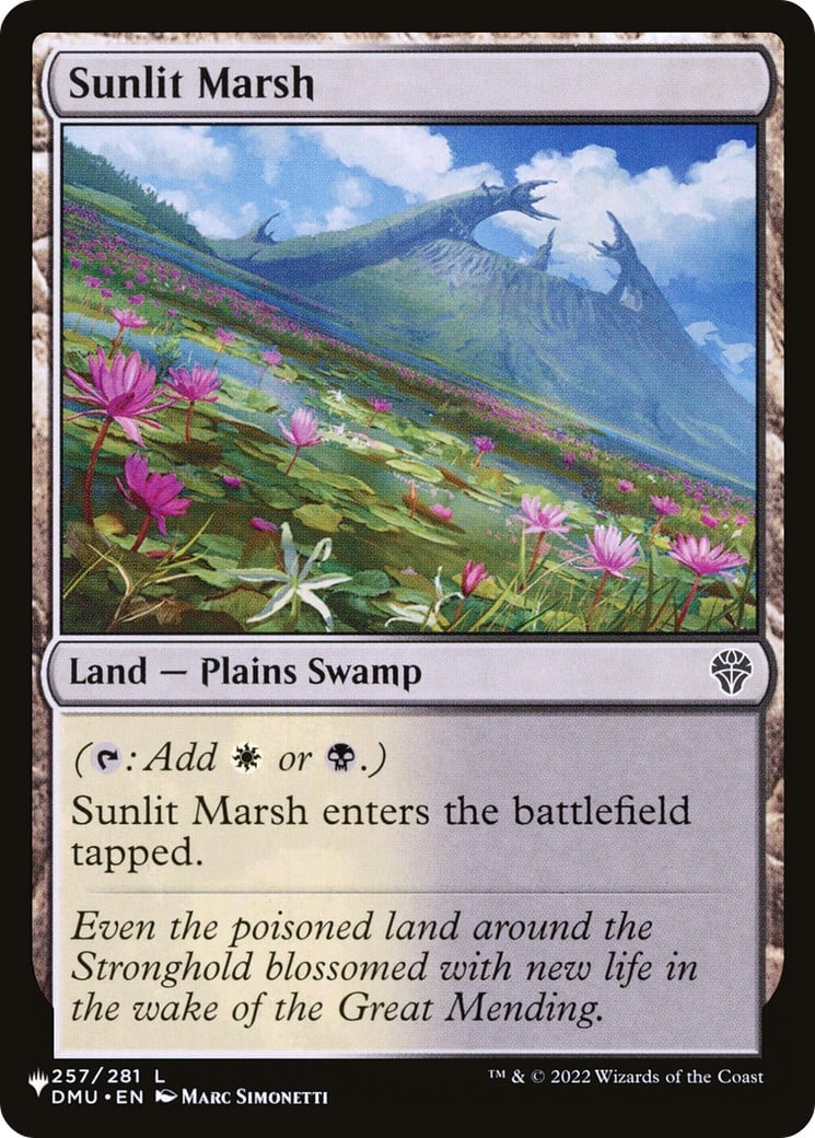 Sunlit Marsh - Image 1