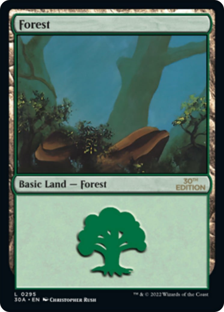 Forest - Image 1