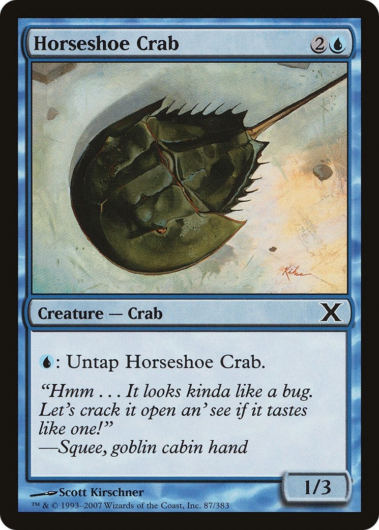 Horseshoe Crab - Image 1