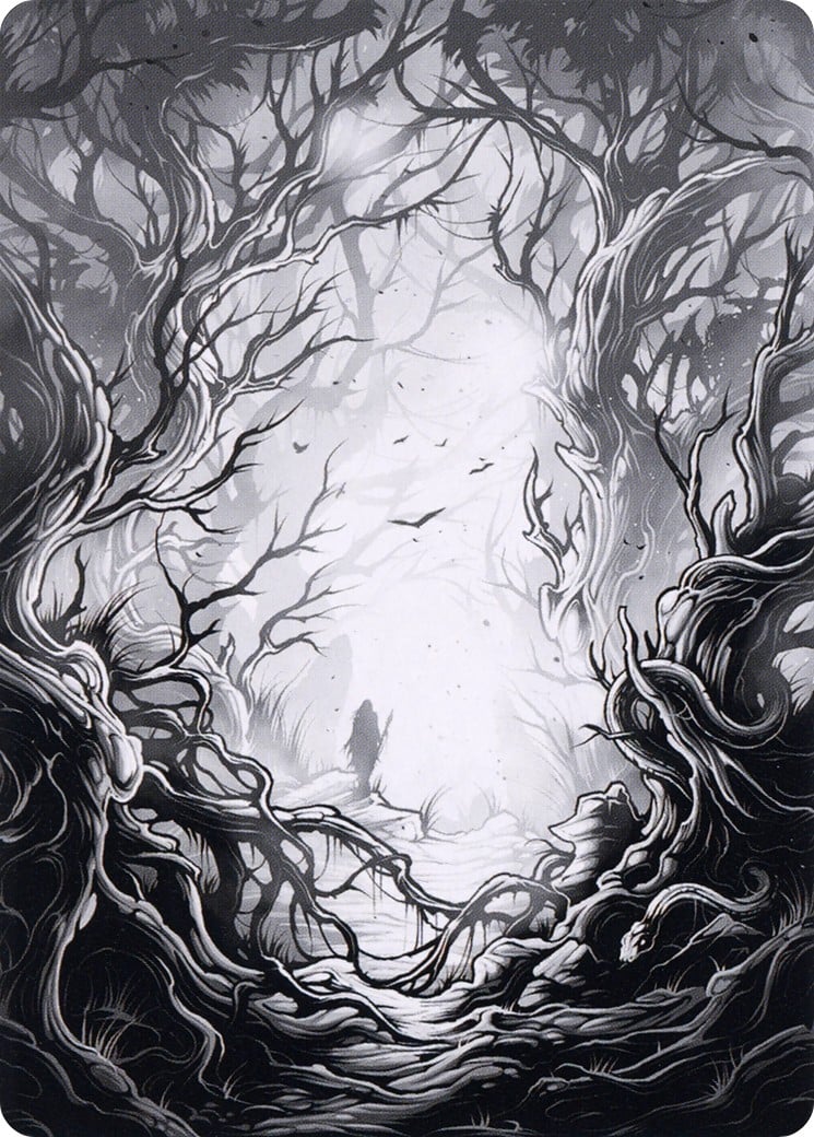 Forest // Forest - Image 1