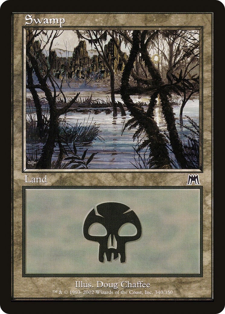 Swamp - Image 1