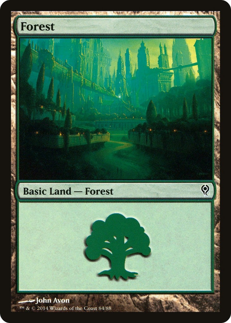 Forest - Image 1