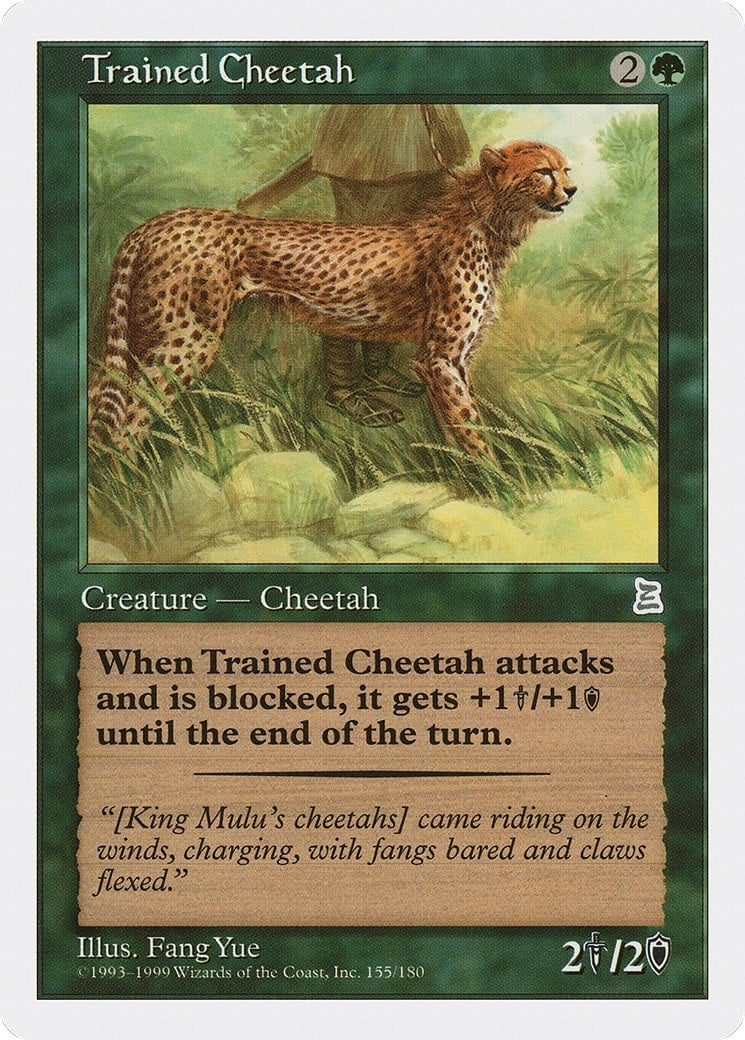 Trained Cheetah - Image 1