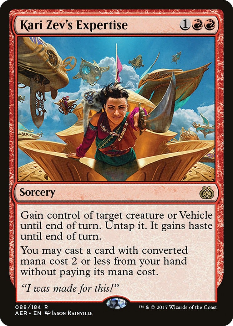 Kari Zev's Expertise - Image 1