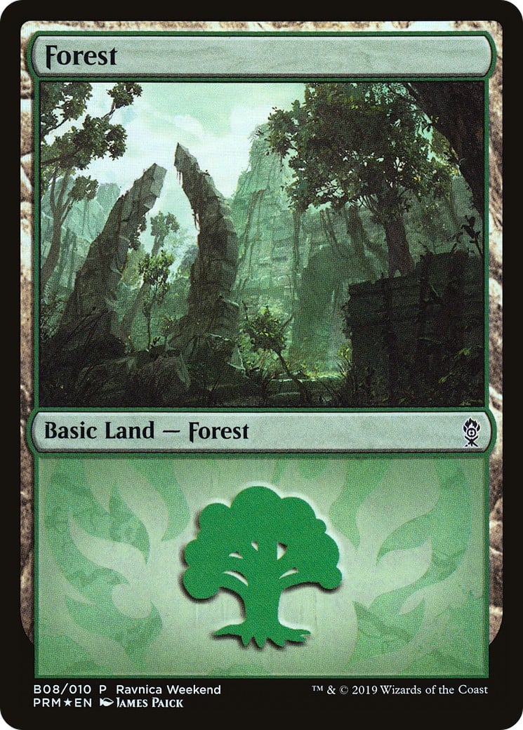 Forest - Image 1