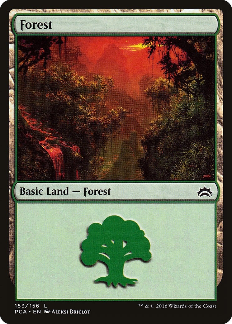 Forest - Image 1