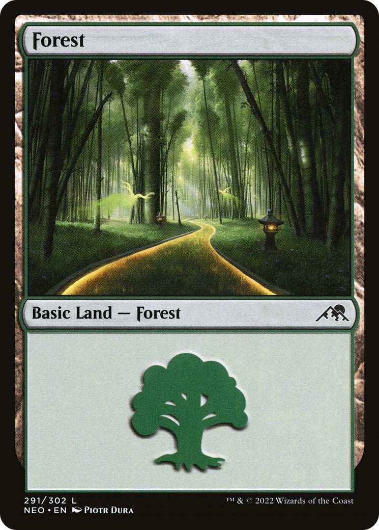 Forest - Image 1