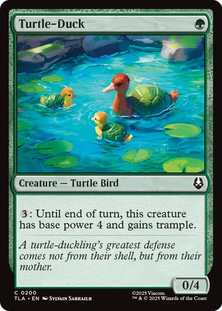 Turtle-Duck - Image 1