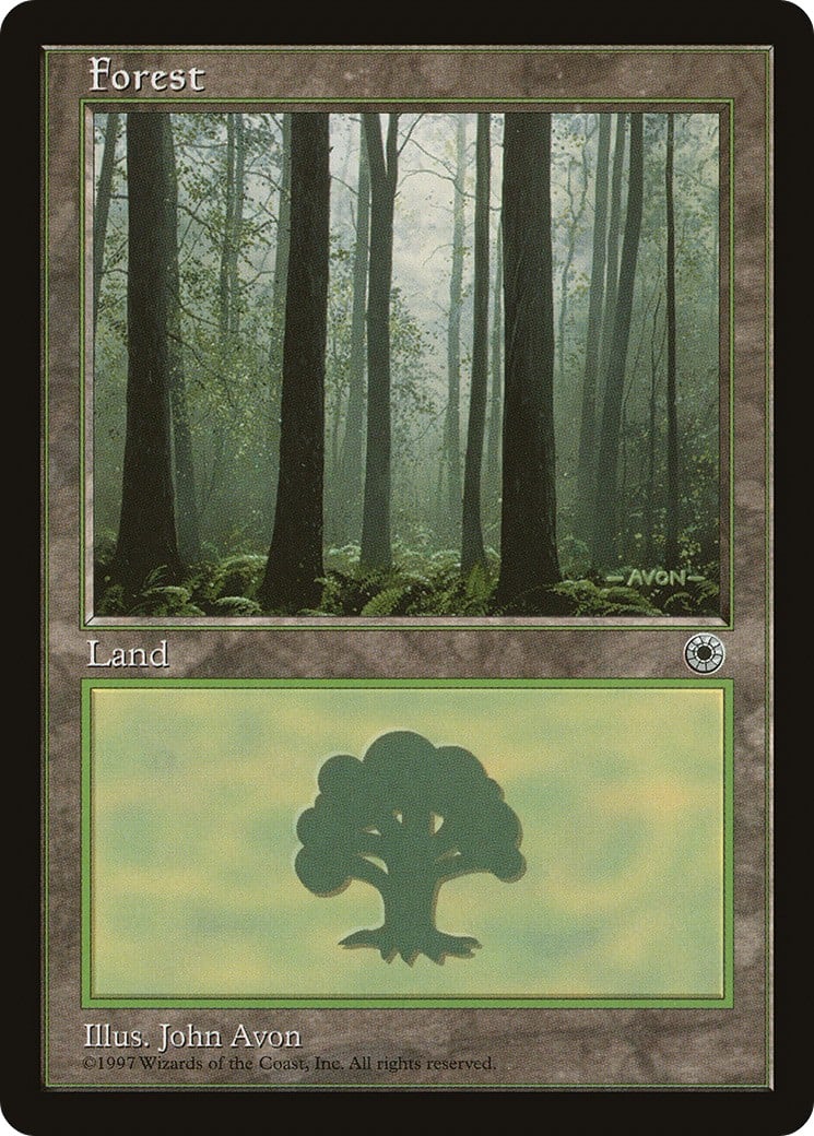 Forest - Image 1