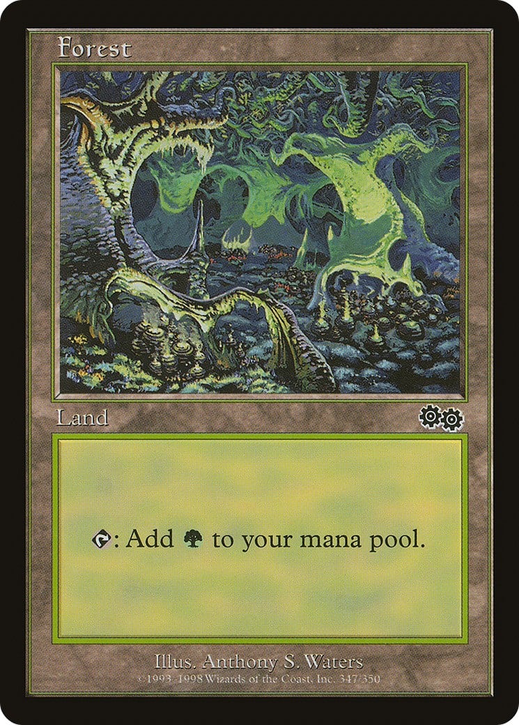 Forest - Image 1