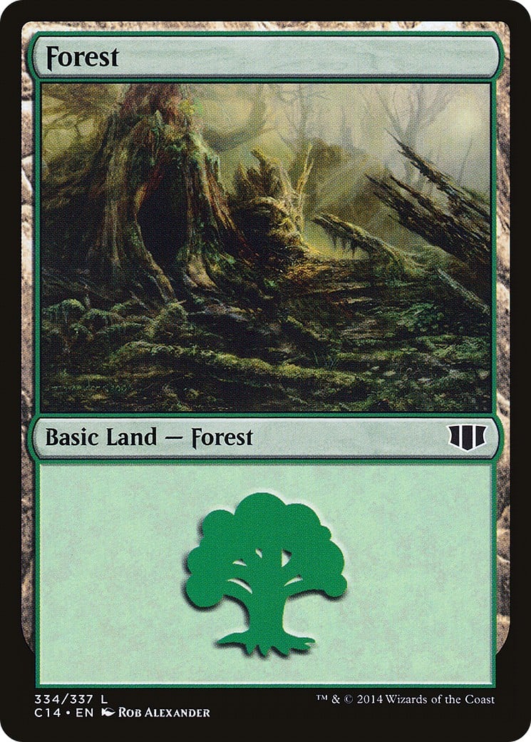 Forest - Image 1
