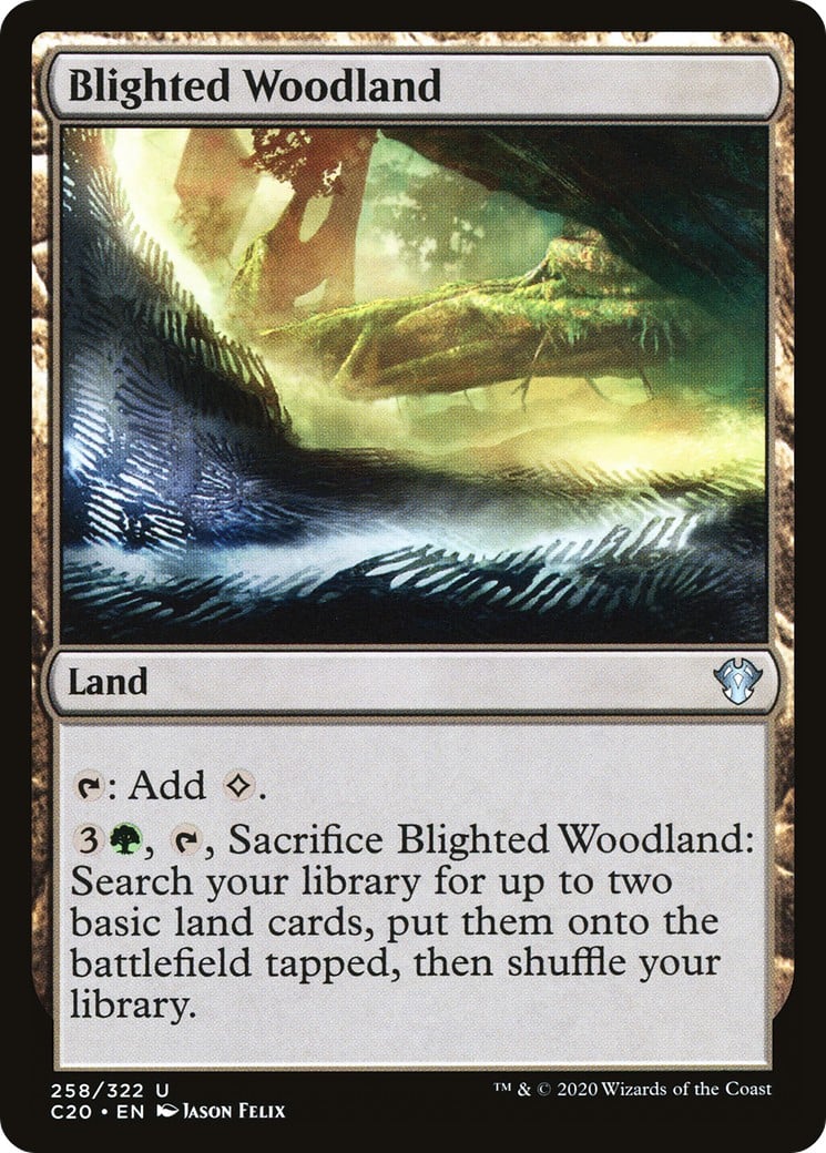 Blighted Woodland - Image 1