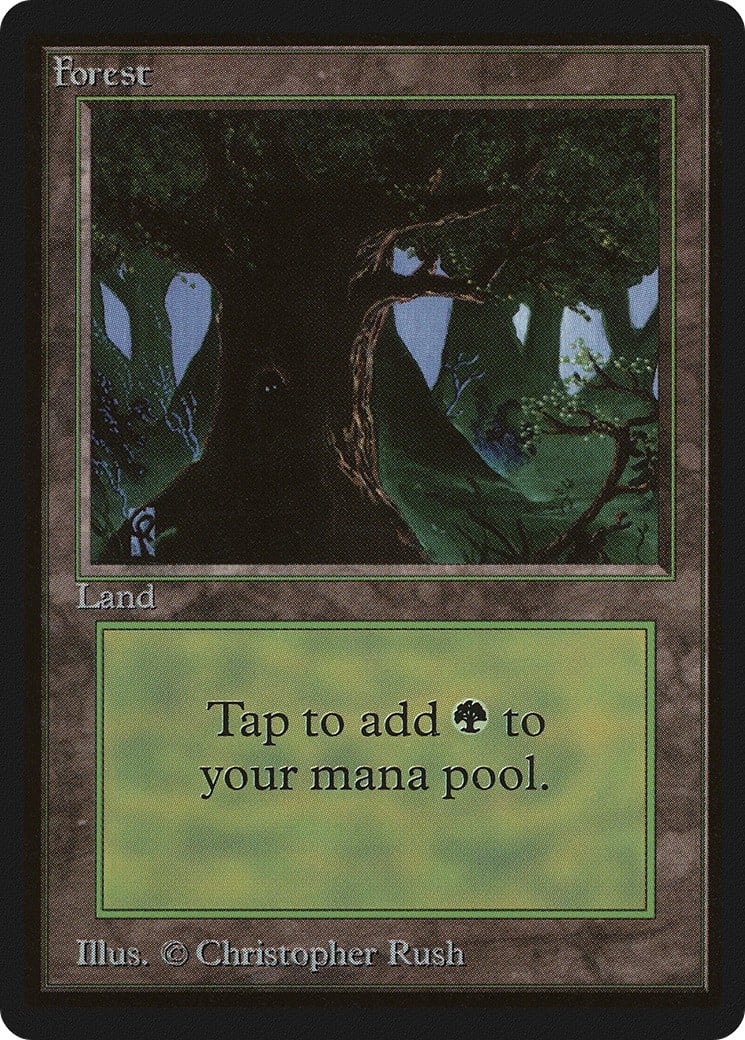 Forest - Image 1