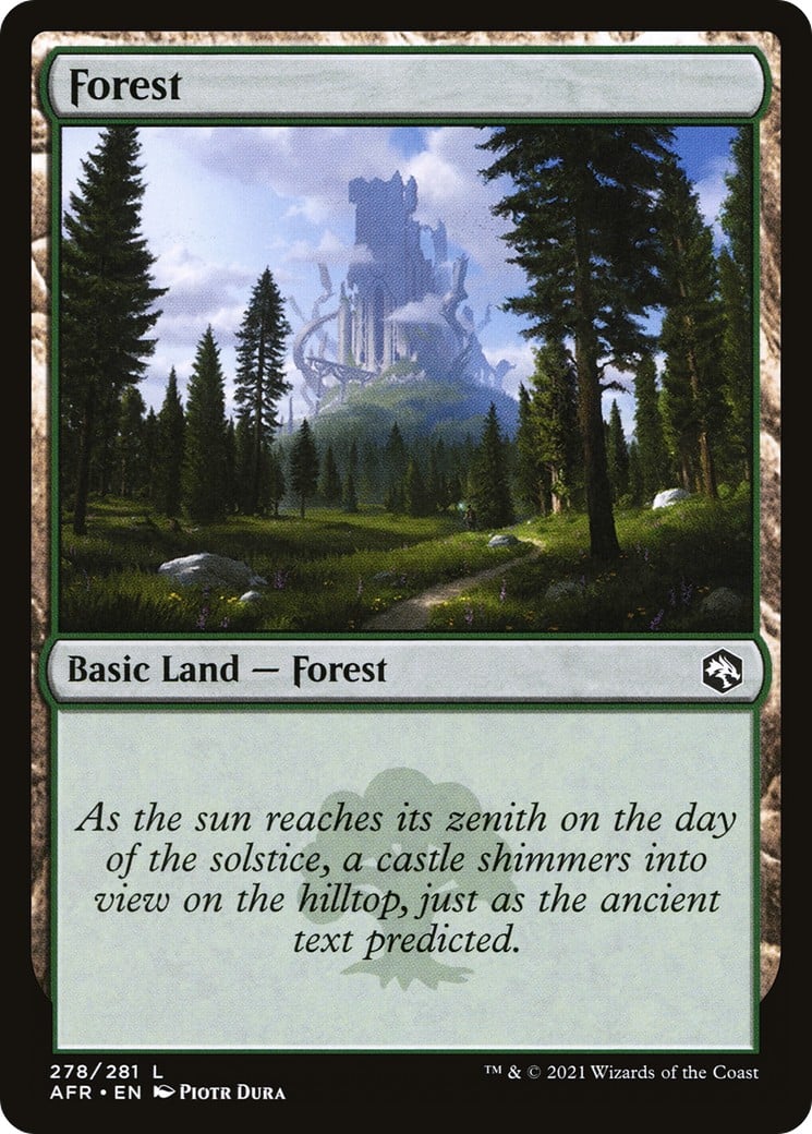 Forest - Image 1