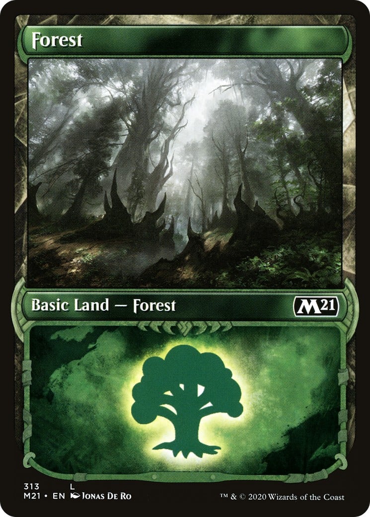 Forest - Image 1