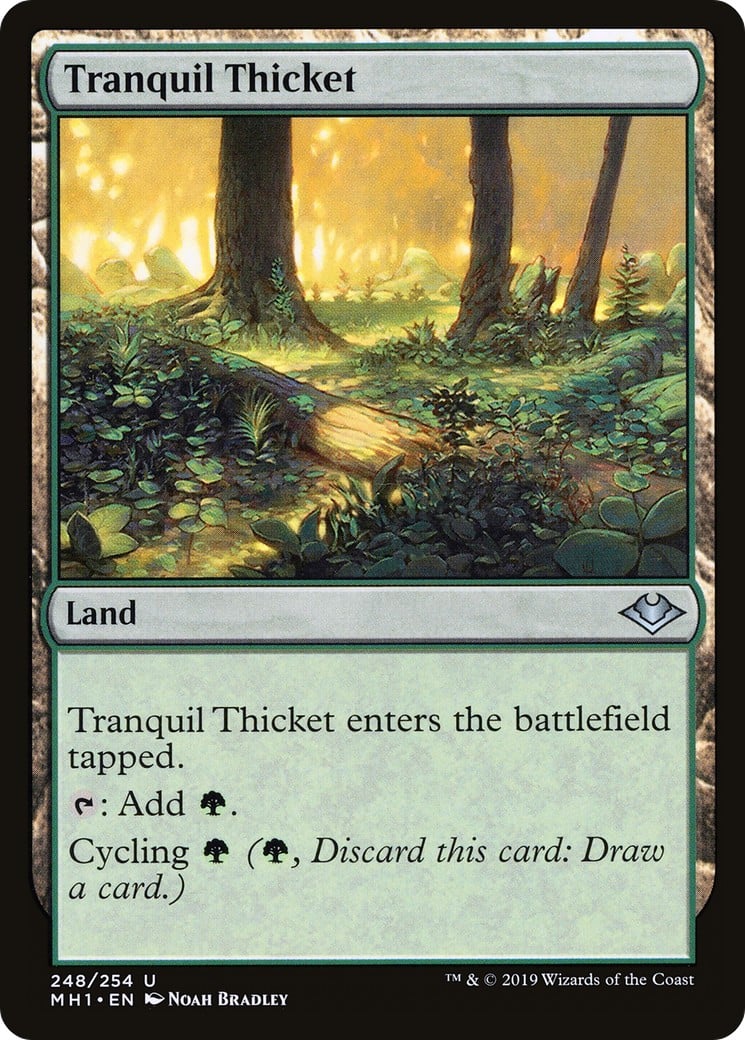 Tranquil Thicket - Image 1