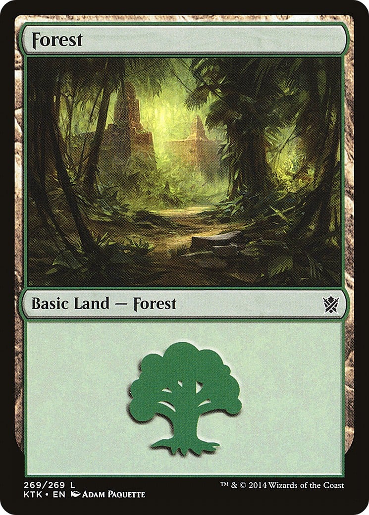 Forest - Image 1