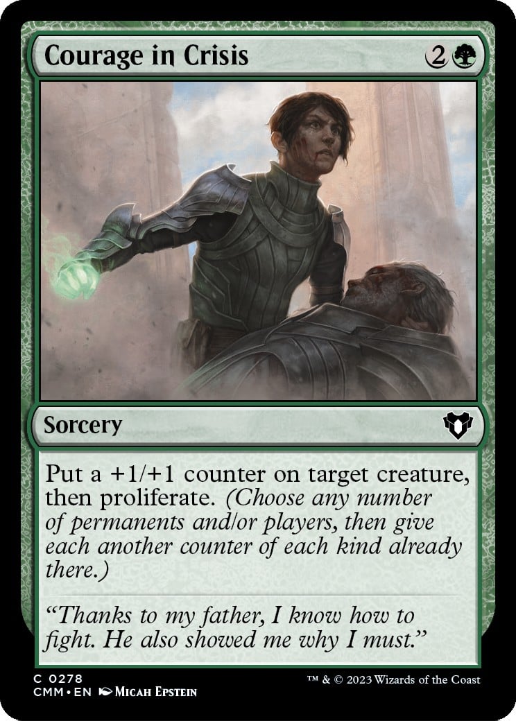 Courage in Crisis - Image 1