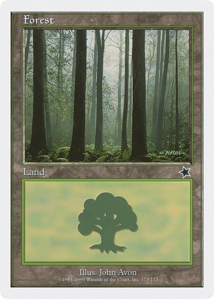 Forest - Image 1