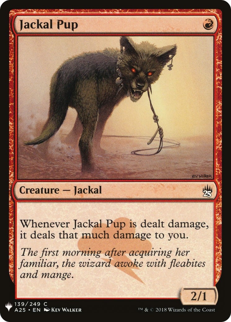 Jackal Pup - Image 1