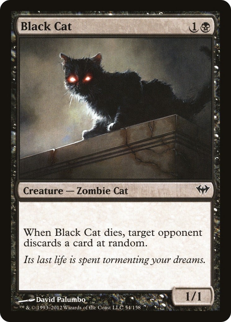 Black Cat - Image 1