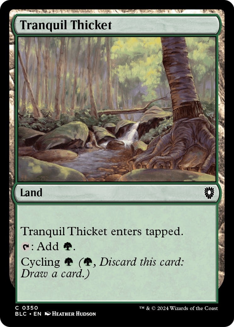 Tranquil Thicket - Image 1