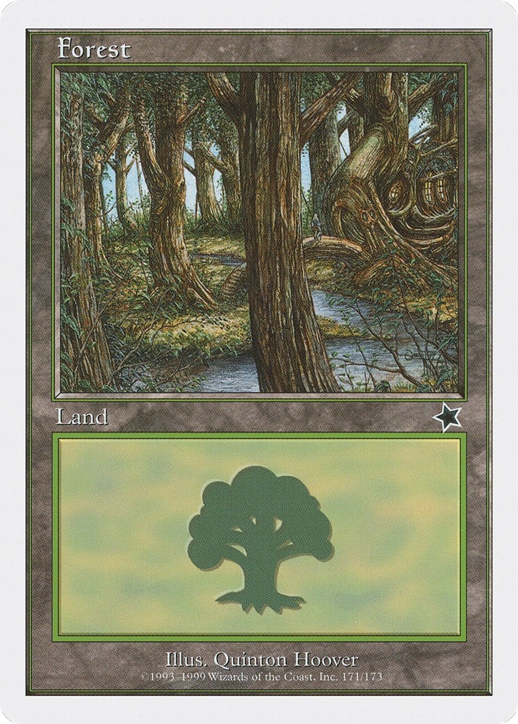 Forest - Image 1