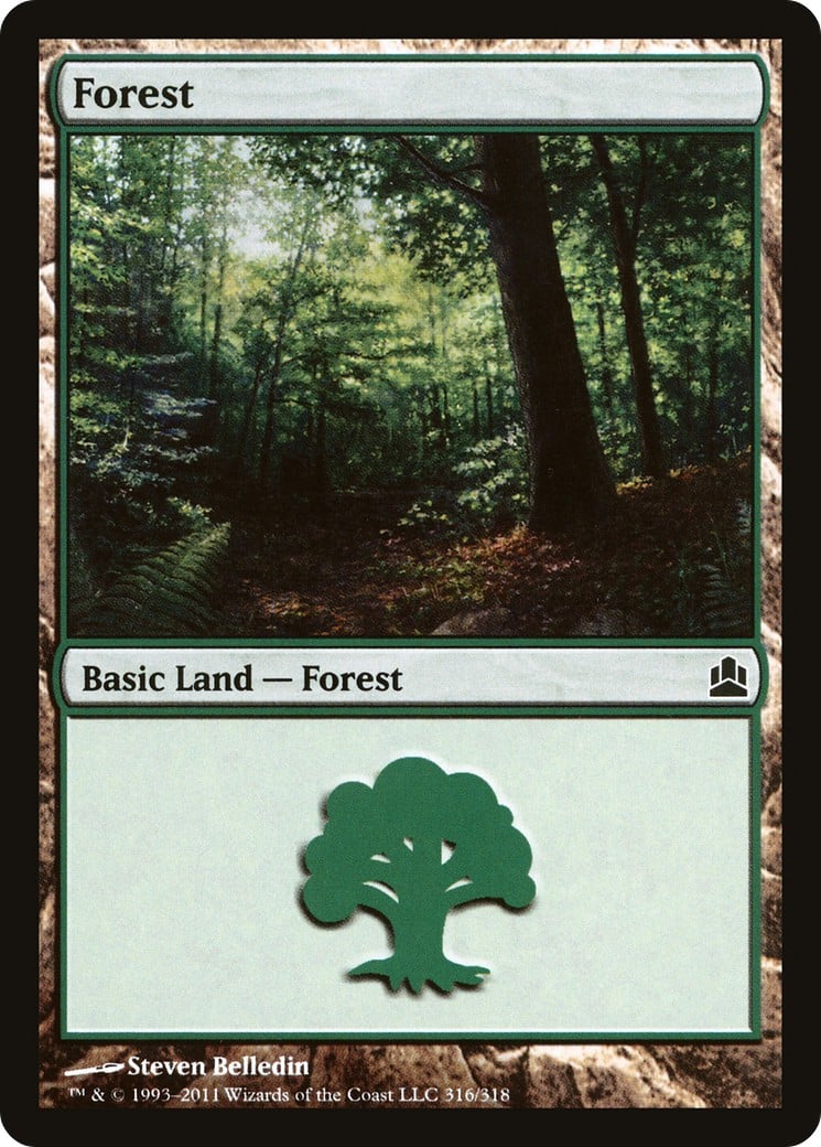 Forest - Image 1