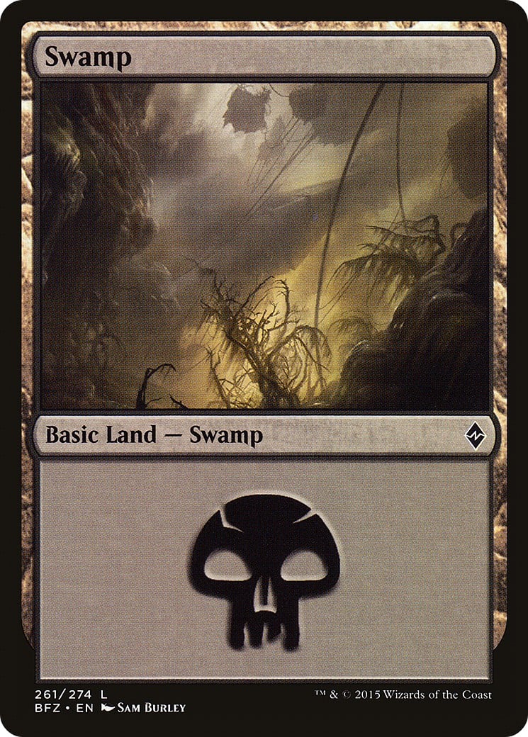 Swamp - Image 1