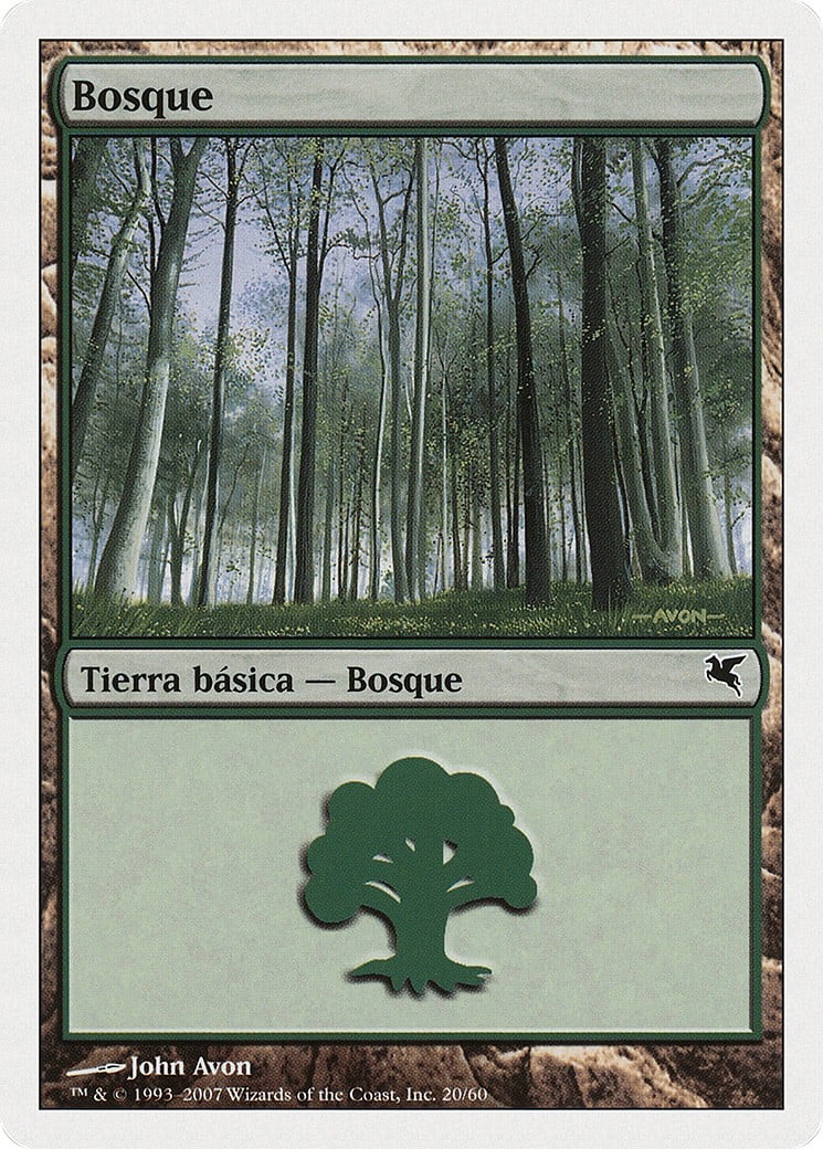 Forest - Image 1